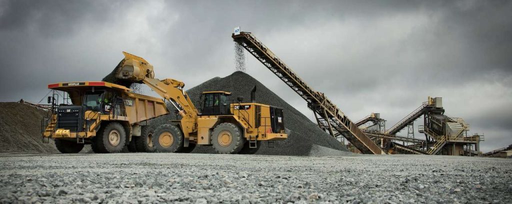 Cat1