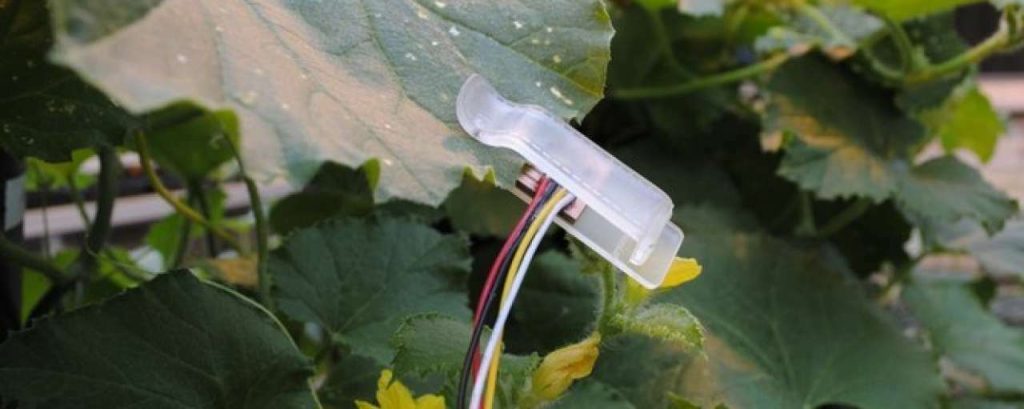 Leaf sensor afzal 2