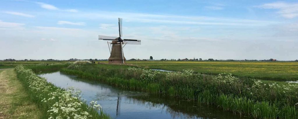 2017113 friesland