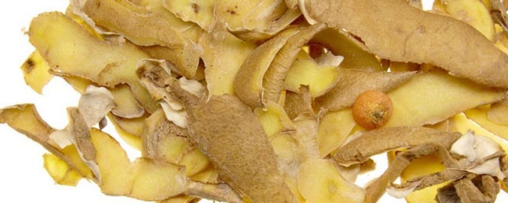Food waste