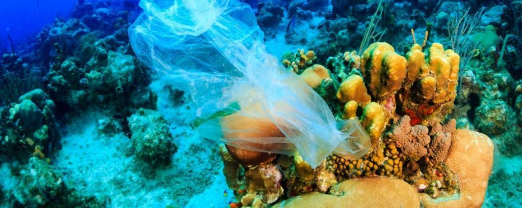 Plastic soep