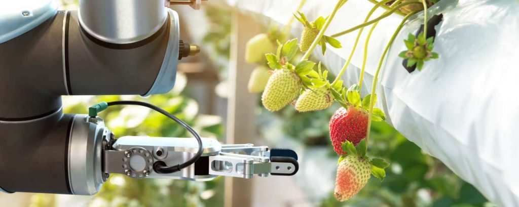 Agri food technieken