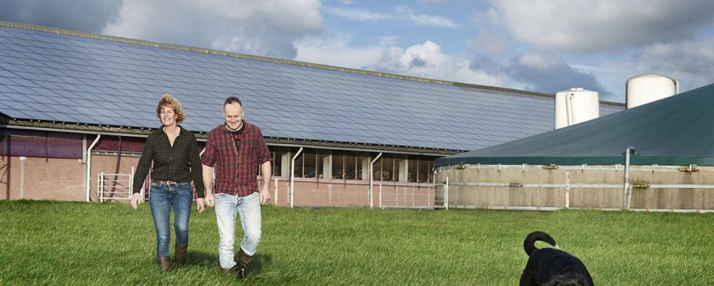 Frieslandcampina zonnepanelen