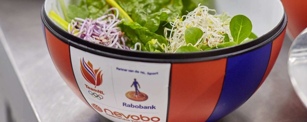 Volley bowl rabobank en nevobo 2