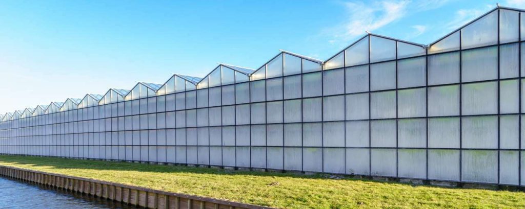 Tuinders lto duurzaam warmte