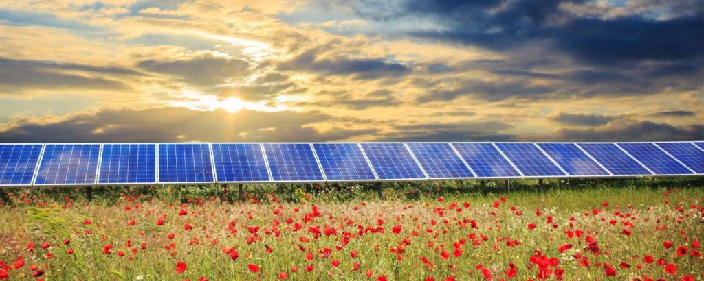 Zonnepanelen bloemen kleiner