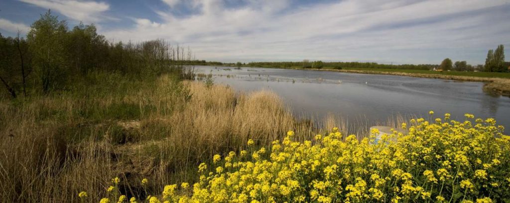Biesbosch
