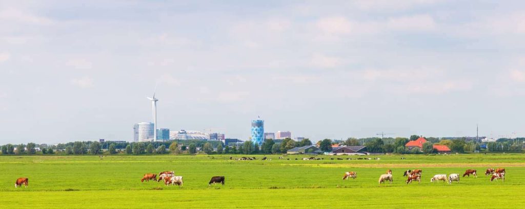 Bijlmer arena amsterdam zuidoost