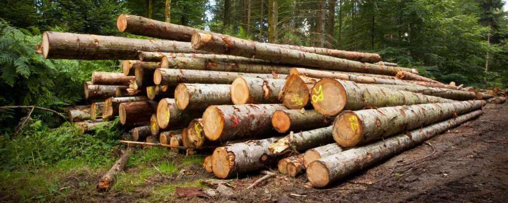 Duurzaam hout