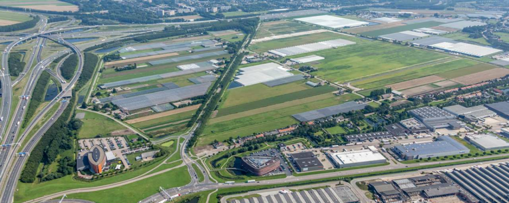 Nieuw reijerwaard