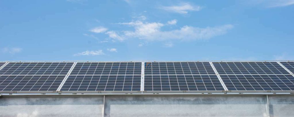 Zonnepanelen op dag