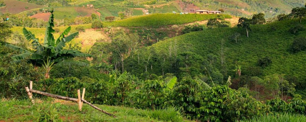 Colombia landbouw