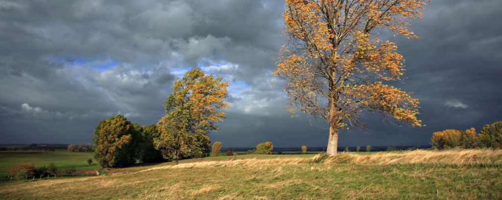 Herfst