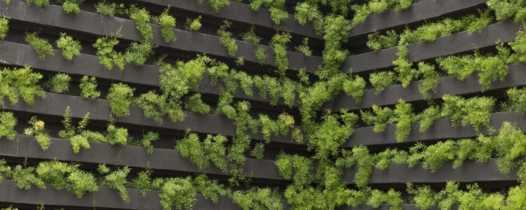 Adobestock vertical farming plantjes
