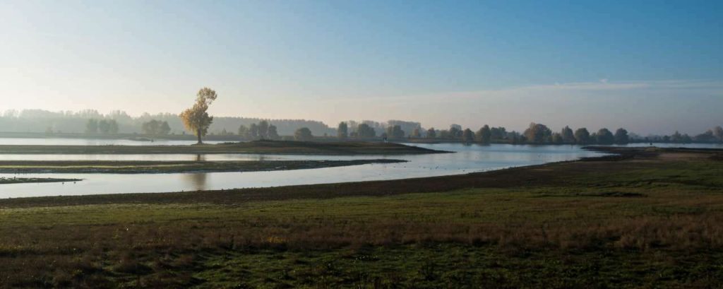 Uiterwaarden rivier nederland water
