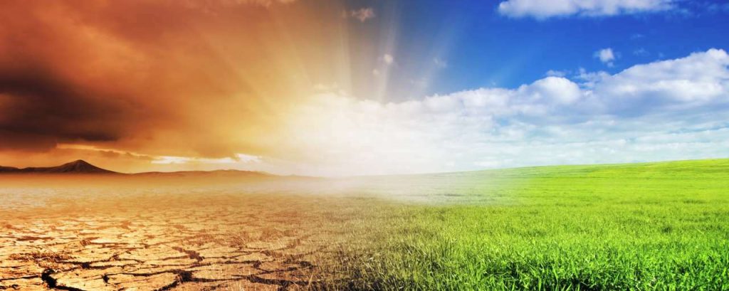 Adobestock klimaatverandering droogte gras