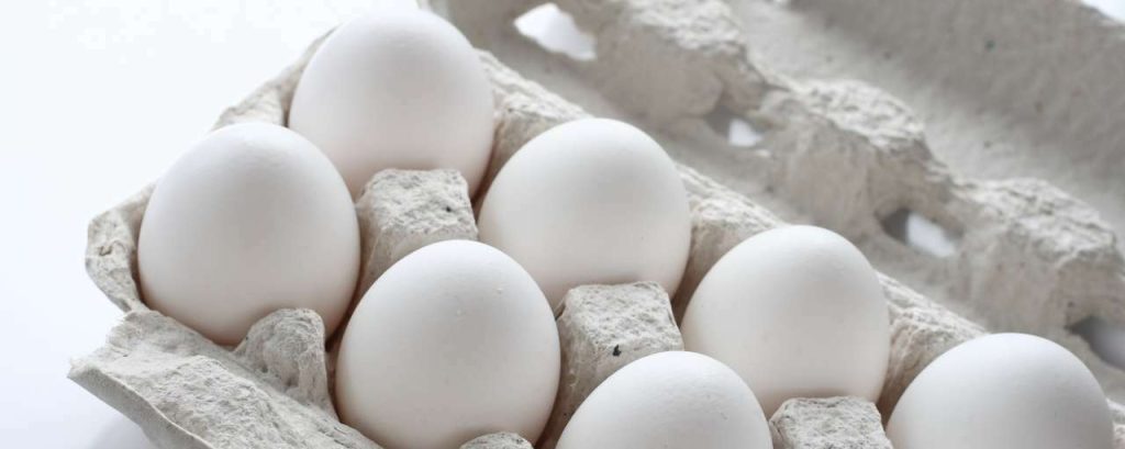 Adobestock witte eieren