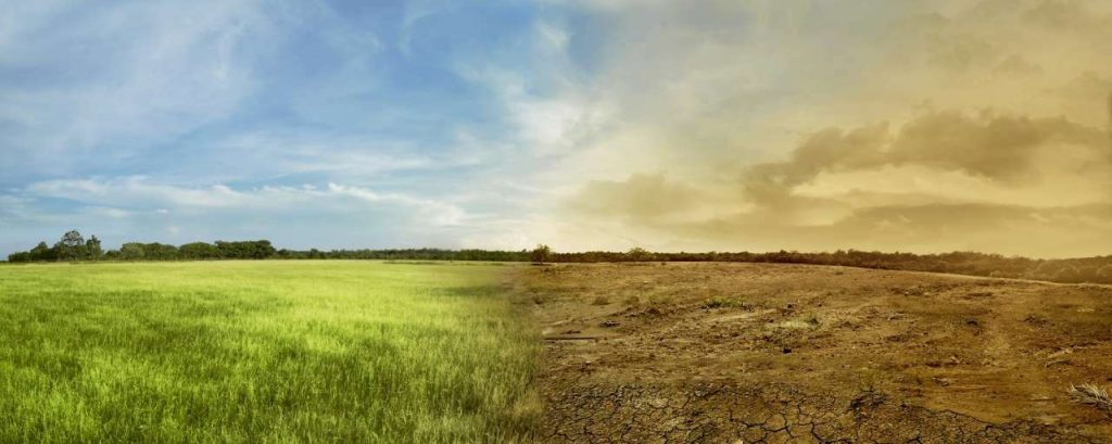 Drawdown klimaatverandering