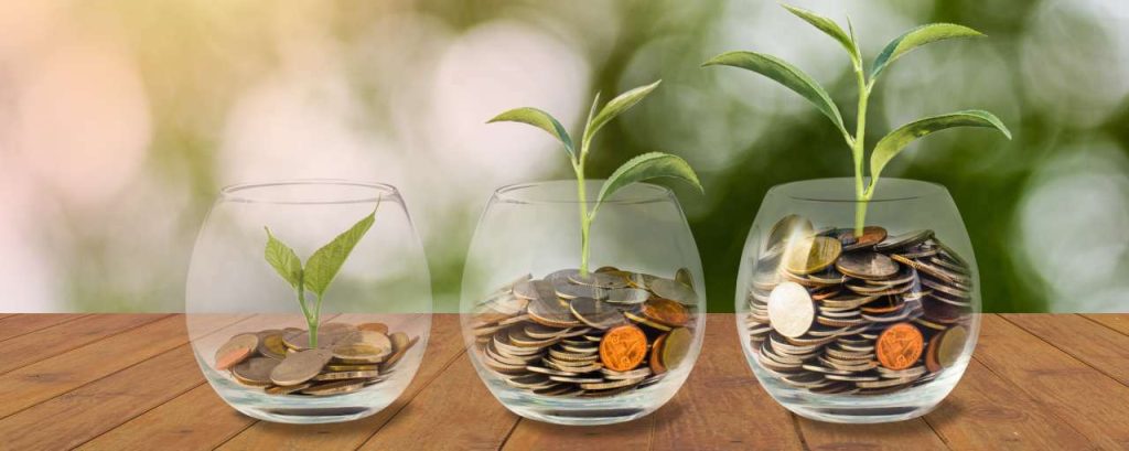Adobestock crowdfunding geld plant