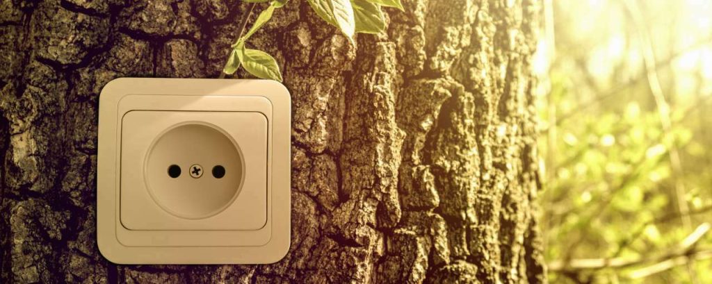 Adobestock duurzame energie boom stopcontact