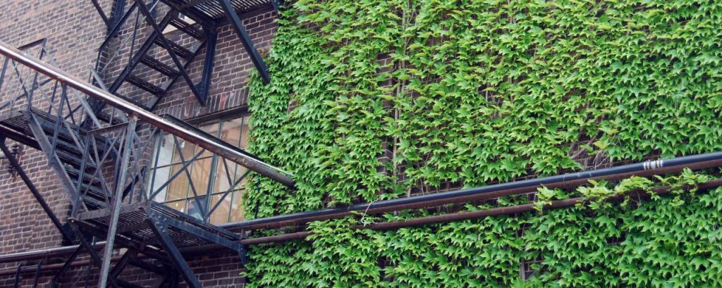 Adobestock gebouw groen natuur