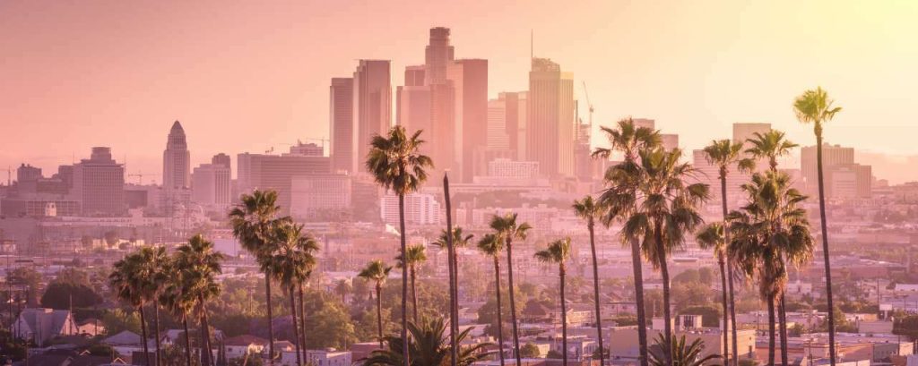 Adobestock los angeles palmboom