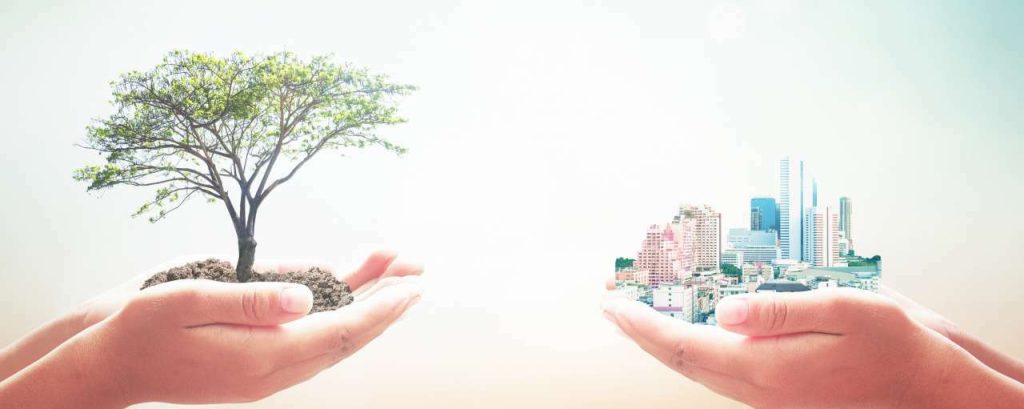 Adobestock duurzaamheid handen bomen
