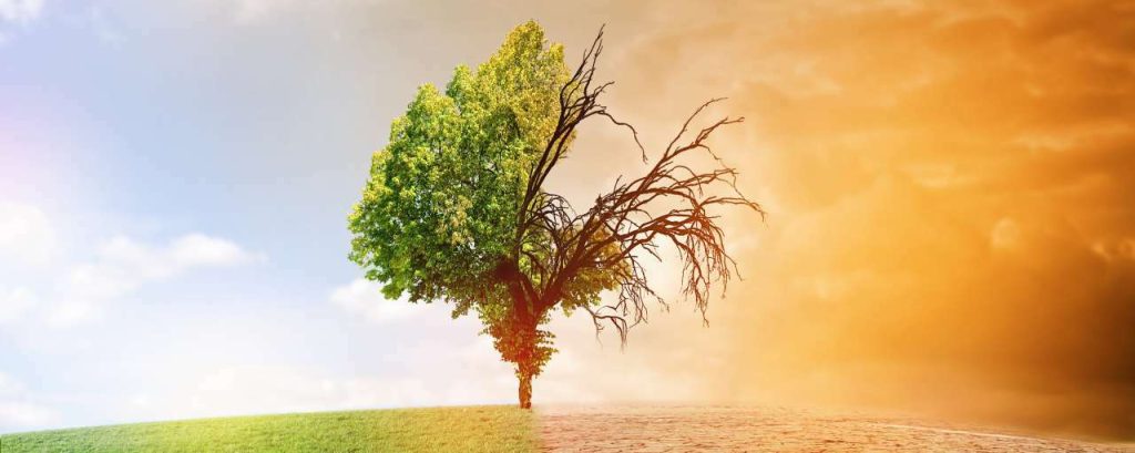 Adobestock klimaatverandering droogte
