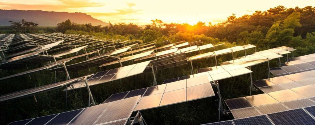 Adobestock zonnepanelen zonneweide