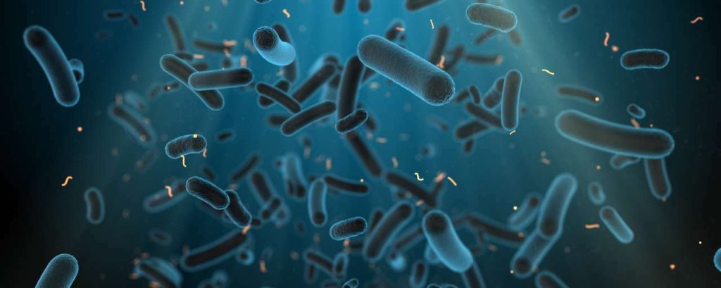 Adobestock waterstof bacterie