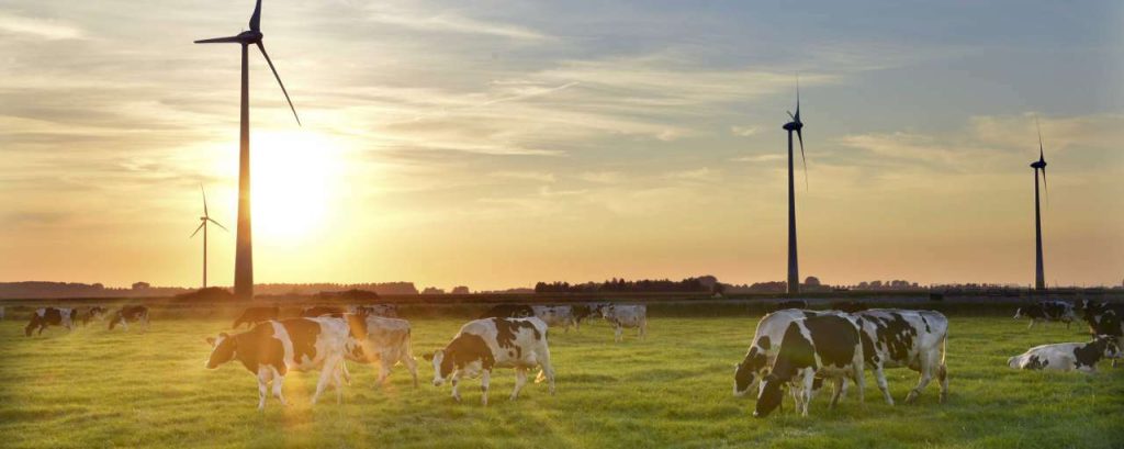 Frieslandcampina sdgs