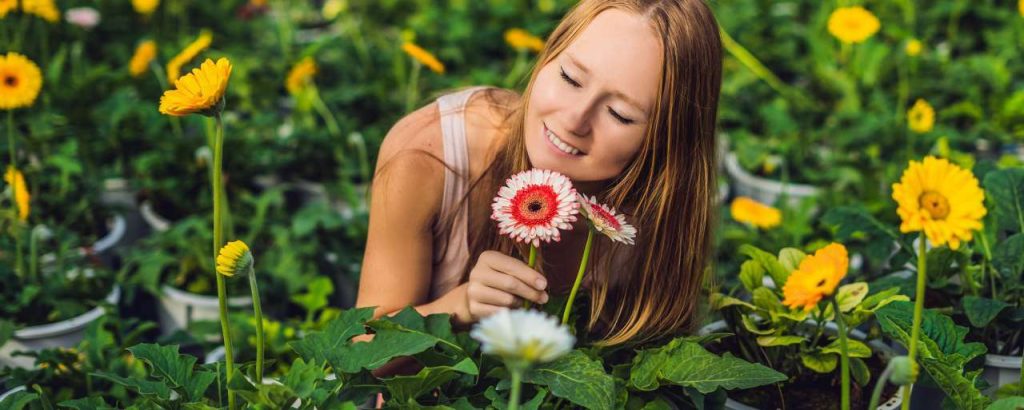 Adobestock 213330851 gerbera kweker verduurzaming businesscase