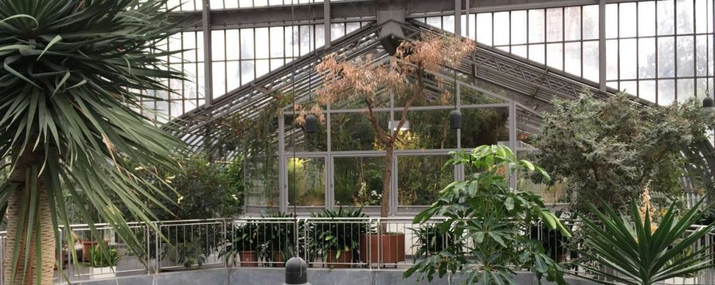 Adobestock kantoor planten ecosysteem