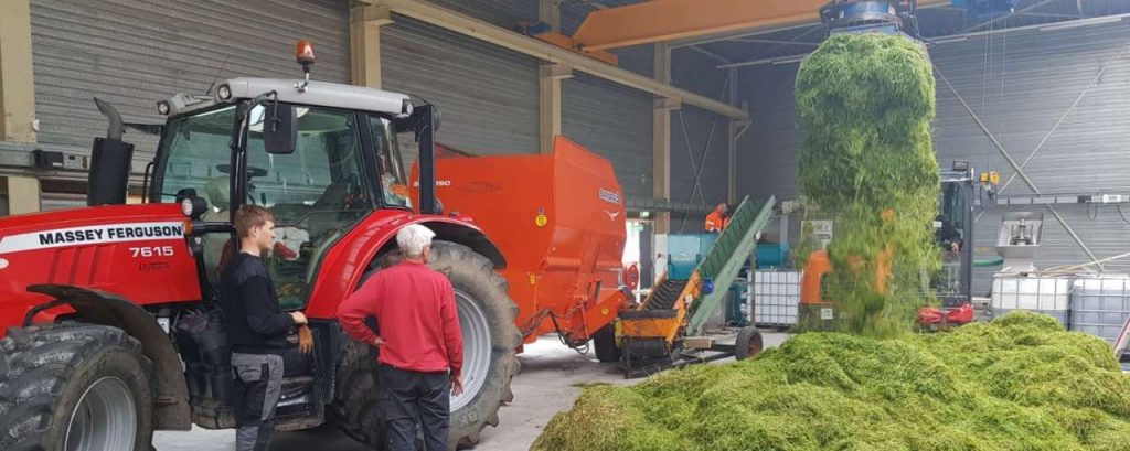 Grass2grit eerste gras