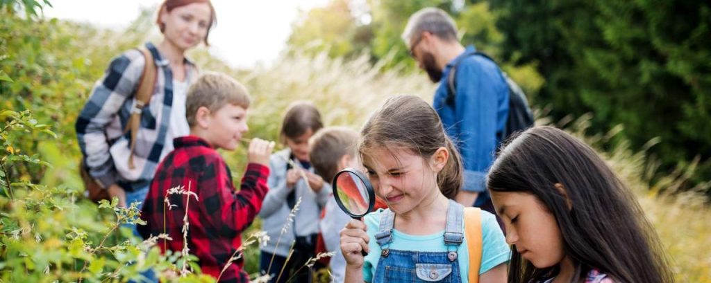 Kinderen schoolreis natuur