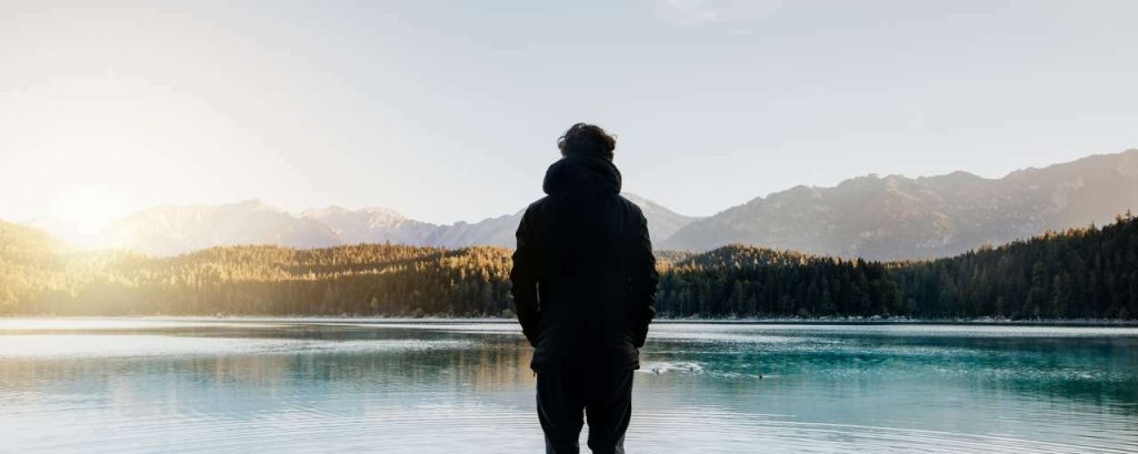 Adobestock 239221272 biomimicry