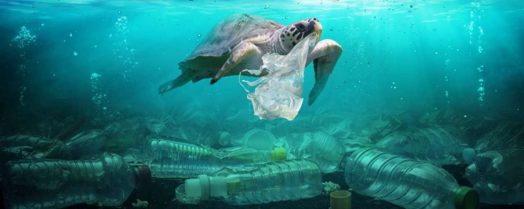 Adobestock plastic oceaan schildpad