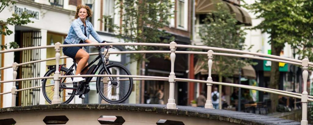 Accell group batavus