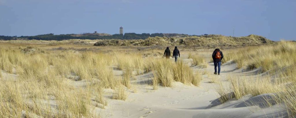 Adobestock 86294871 terschelling springtij green leaders