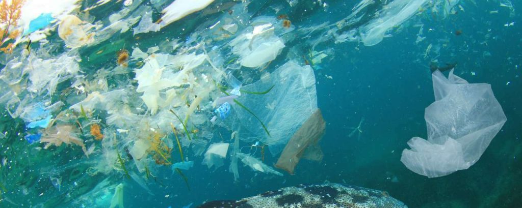 Adobestock water plastic vervuiling