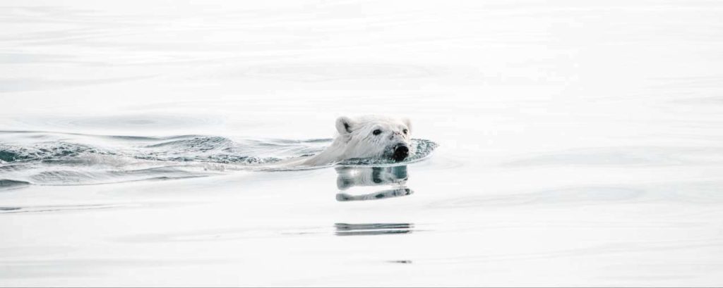 Annie spratt f2m5uynt62u unsplash