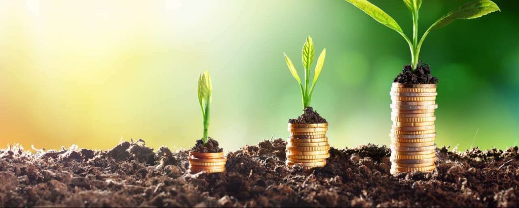 Adobestock geld boom groen groeien