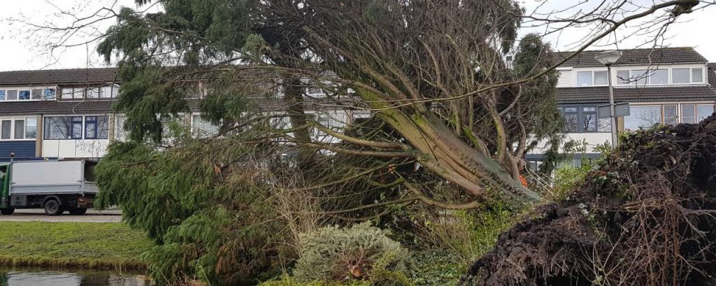 Adobestock 217486018 klimaatschade storm verzekeraars