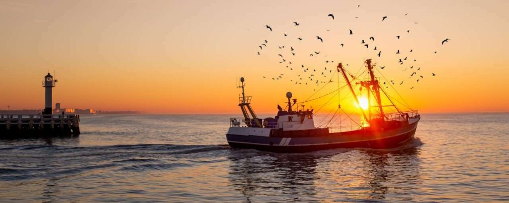 Adobestock blauwe economie oceaan