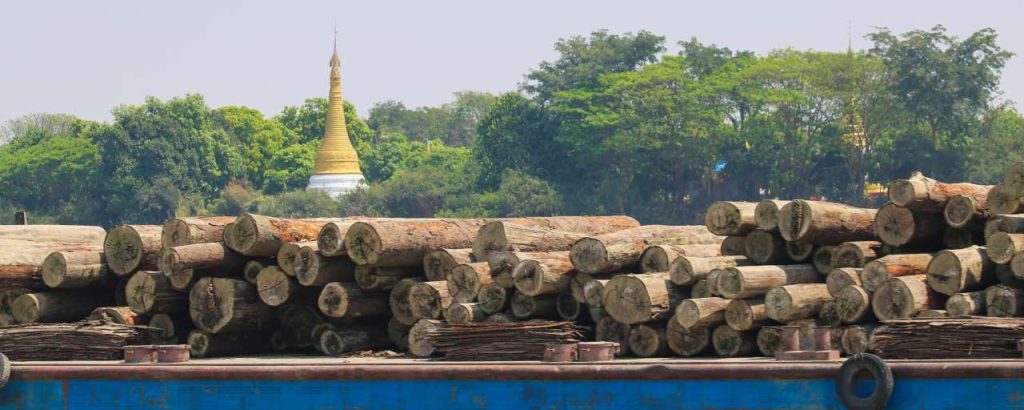 Adobestock 318946926 hout myanmar