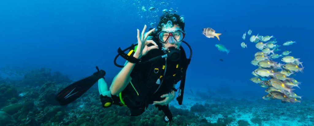 Adobestock bnp paribas asset management ecosystemen fonds natuur investeren