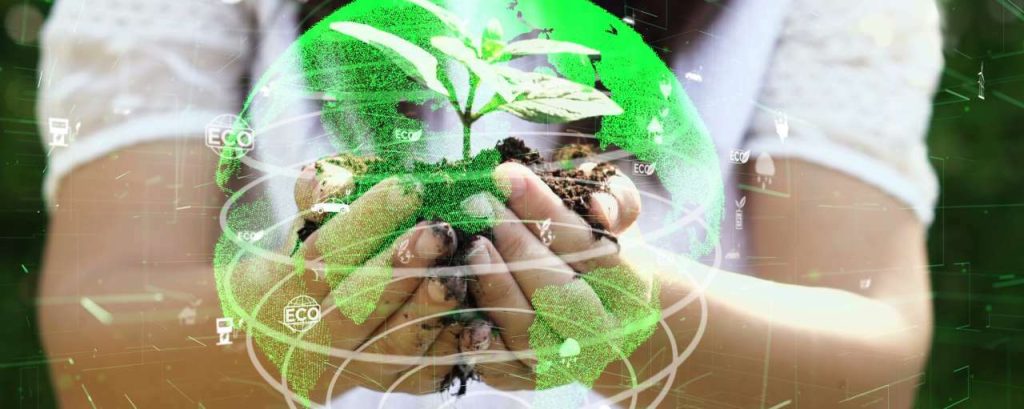 Duurzaam bol goren bomen handen adobe stock change inc