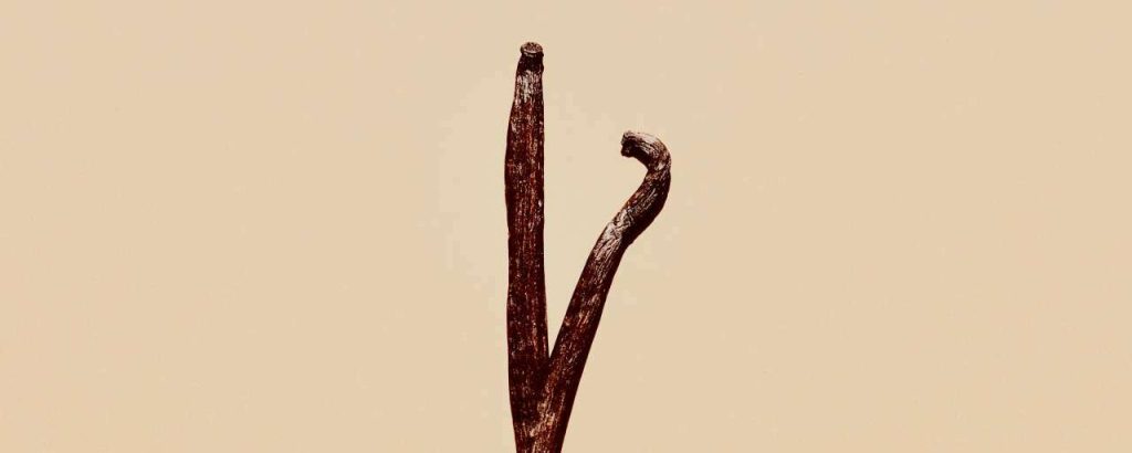 Jocelyn morales tya9f8hyex4 unsplash