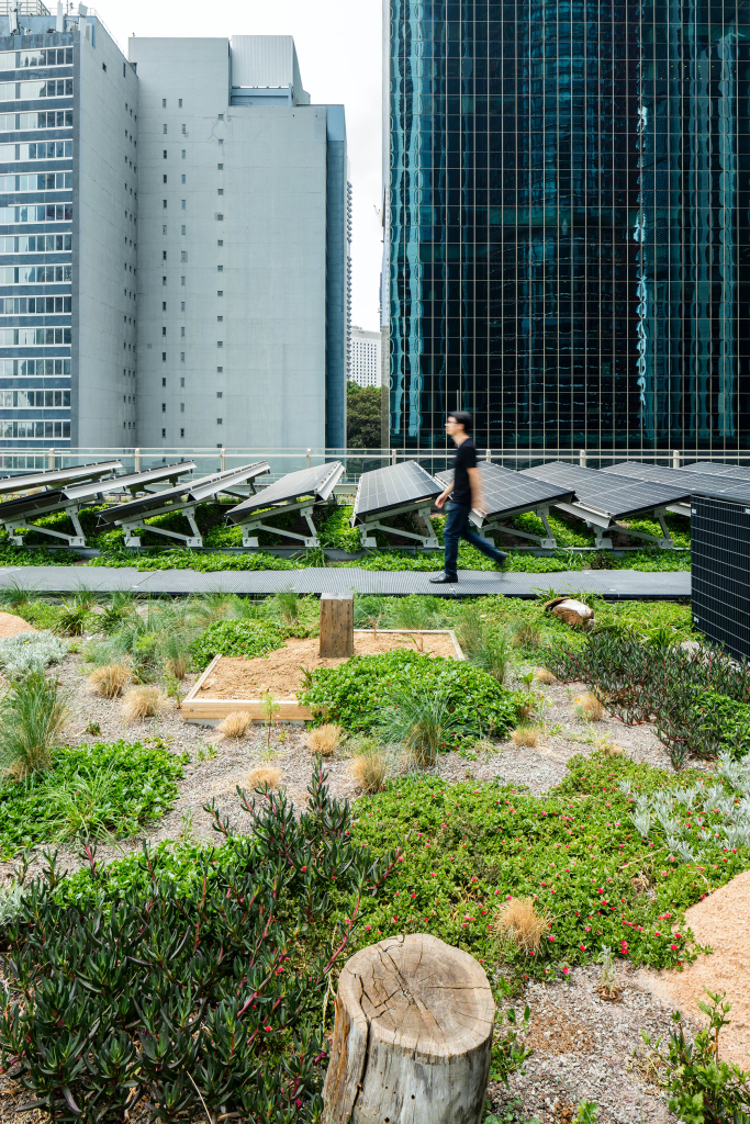 Daramu House Barangaroo Architizer