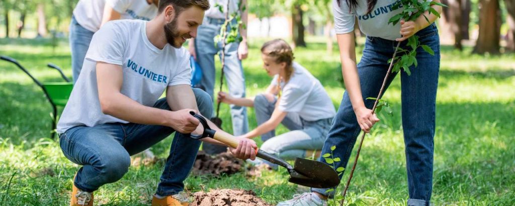 Adobestock duurzame doelen verenigde naties sdg bosbouw bomen planten